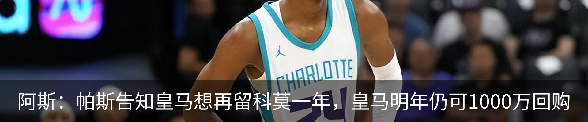 最新动态